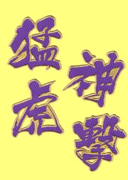 画像4: ワッペン 猛虎神撃（大）