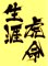 画像3: ワッペン 生涯虎命（大） (3)