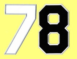 画像5: ワッペン(2020）前番号（一文字）