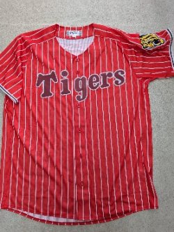 画像2: ワッペン圧着（赤地）（猛虎戦士）