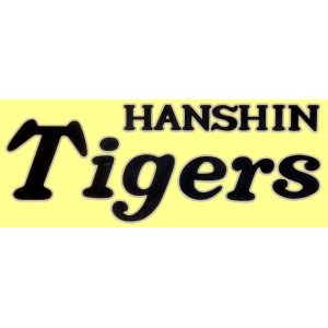 画像: ワッペン　特大Tigersロゴ　黒地×銀