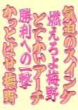 画像3: ワッペン 梅野 ヒッティグマーチ