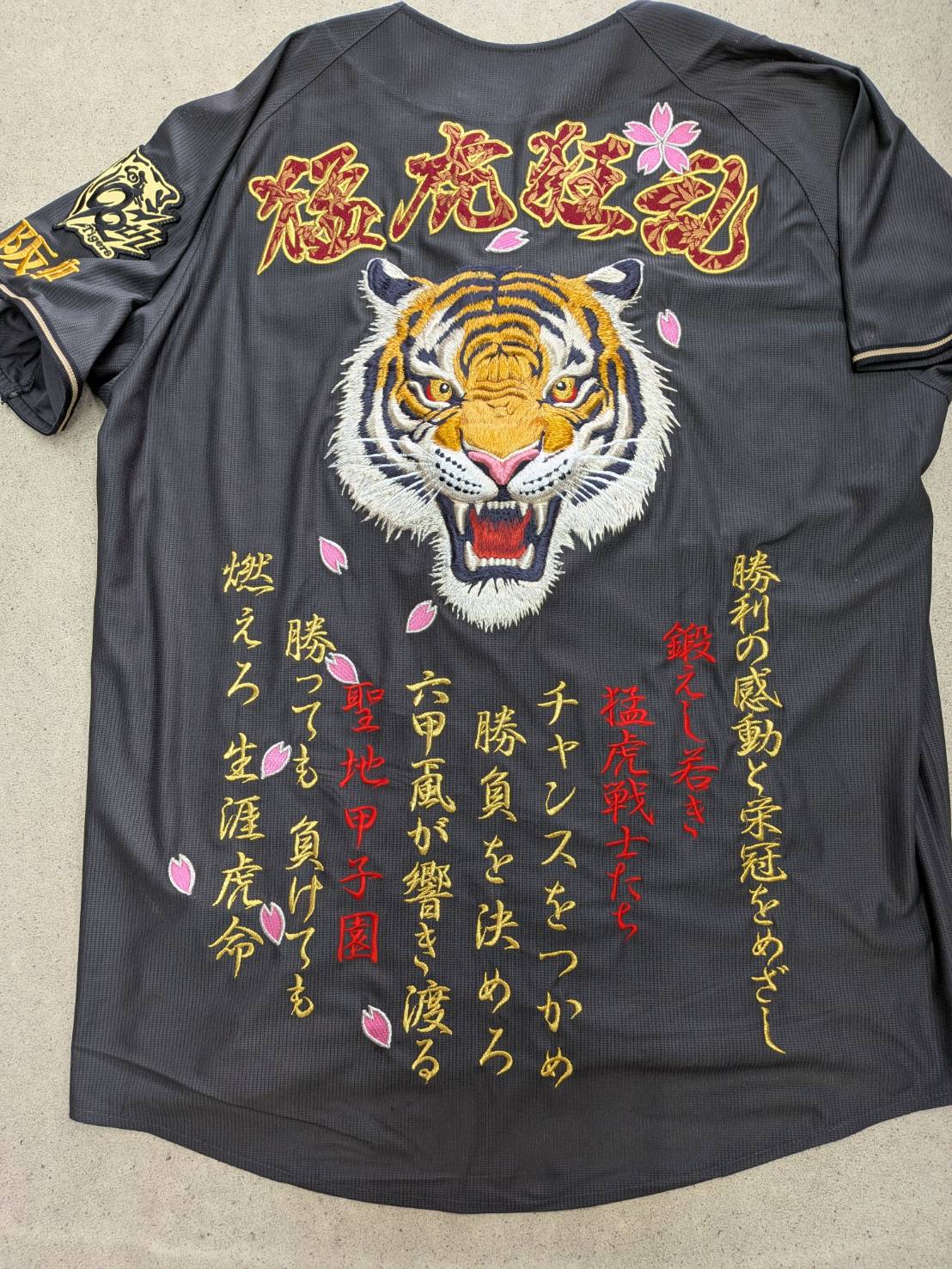 画像1: 立体刺繡（OSKA限定）（猛虎狂乱）